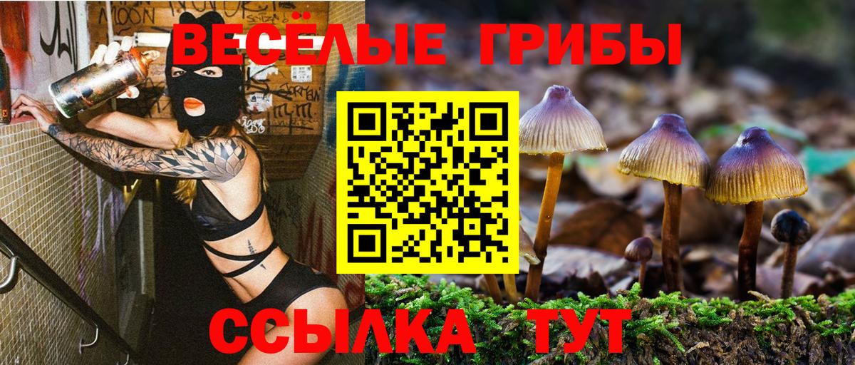 Егорьевск  Псилоцибиновые грибы Cubensis  Псилоцибиновые грибы прущие грибы  Вход с VPN 